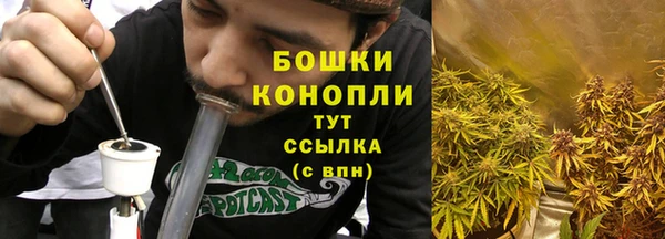гашик Коряжма